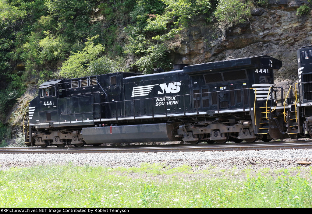 NS 4441